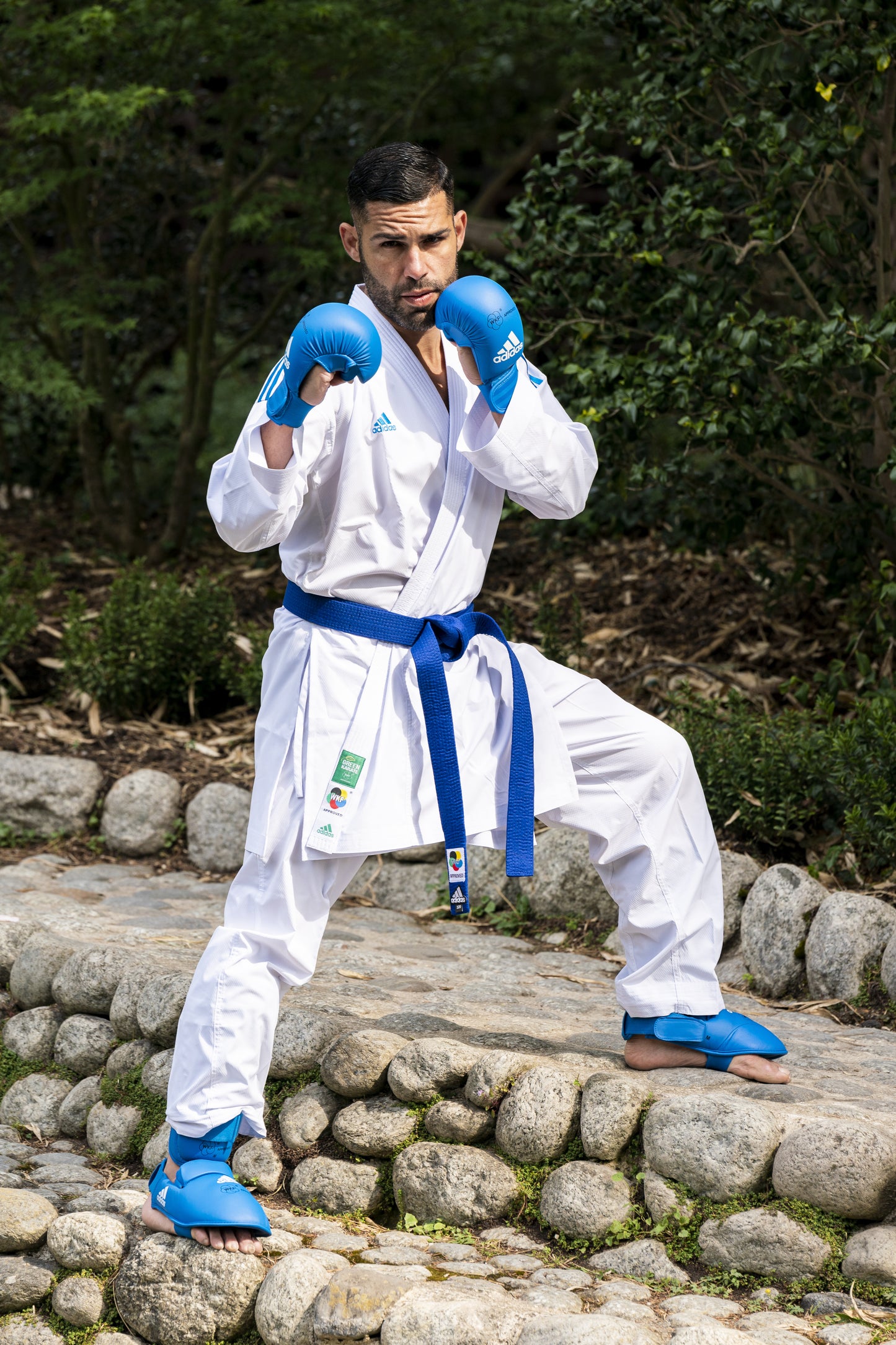 K192 DNA - with STRIPES